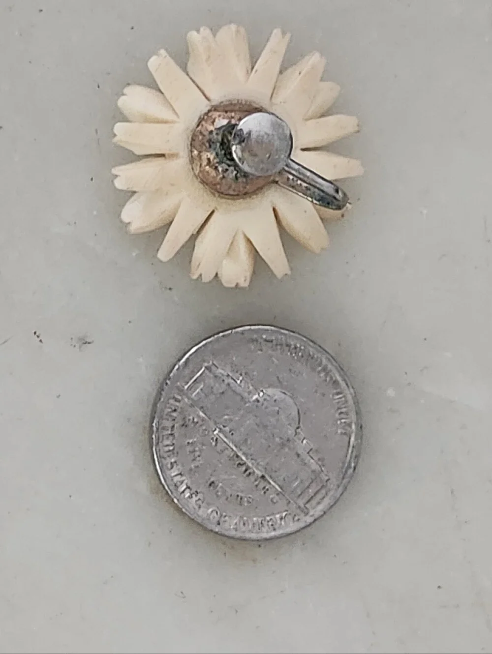 White and Yellow Daisy Screw Back Earrings - Vintage